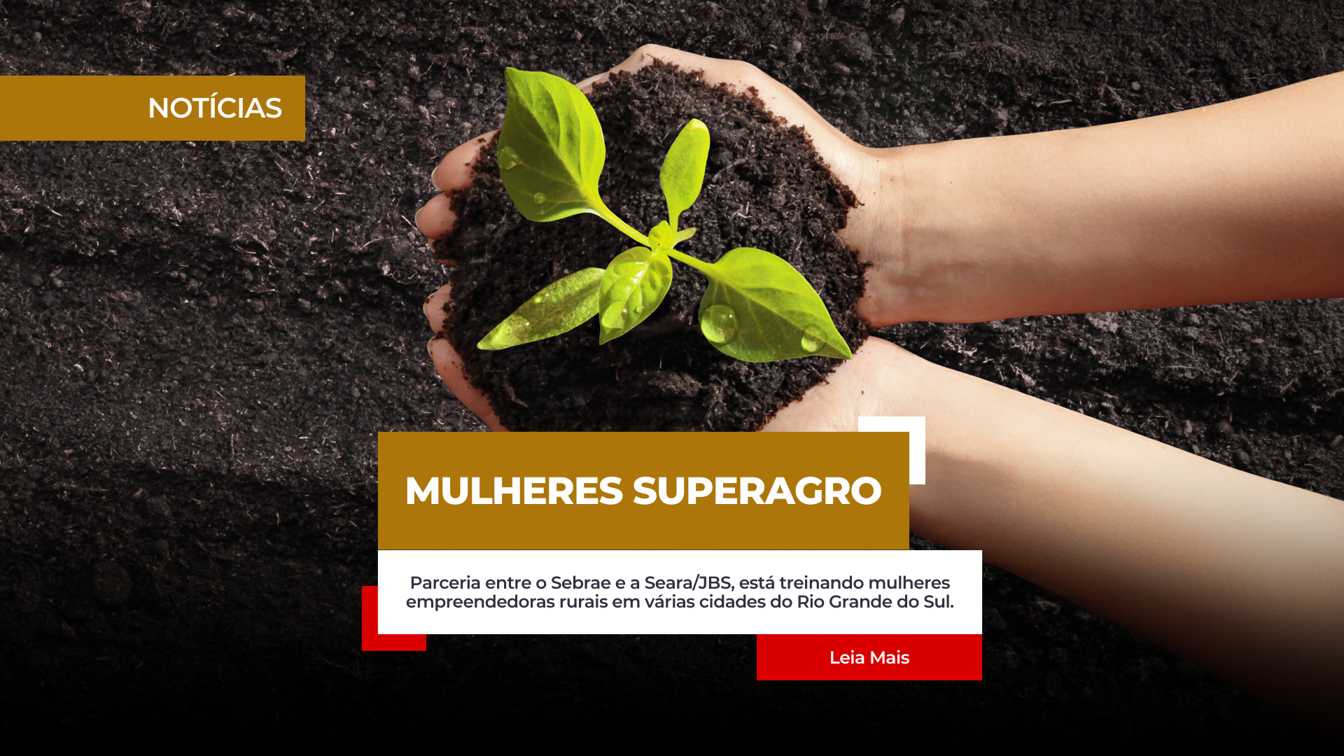 Programa Mulheres SuperAgro