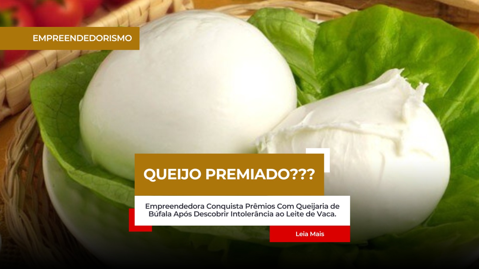 Empreendedorismo Queijo de Búfala