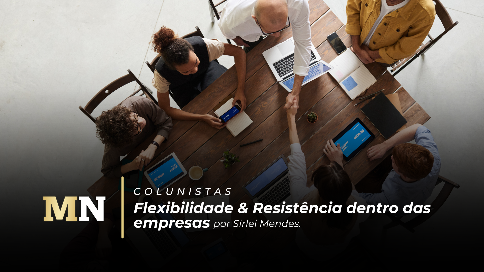 Flexibilidade & Resistência dentro das empresas capa