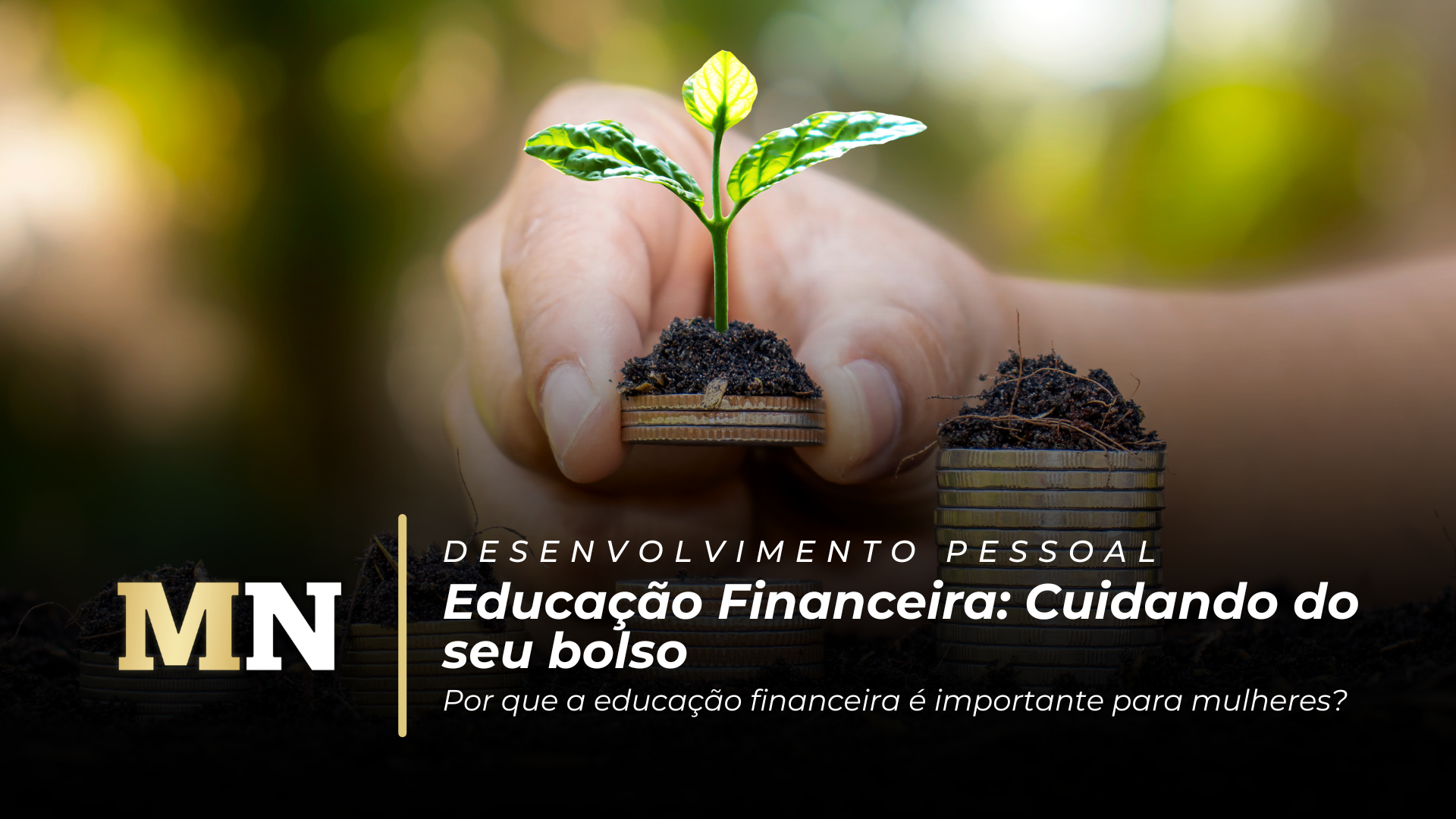 Educação Financeira Cuidando do seu bolso capa